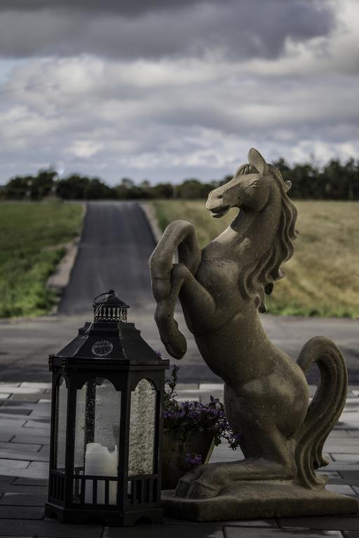 Stall Haellarp Falkenberg Zewnętrze zdjęcie